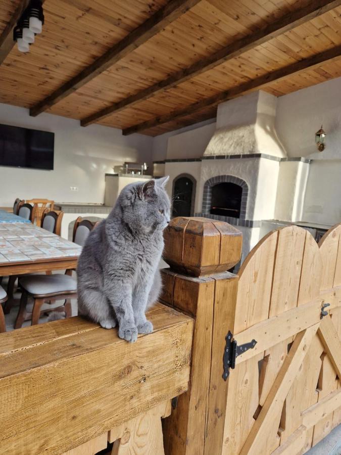 فندق Casa De Langa Padure سيغيتو مارماتيي المظهر الخارجي الصورة